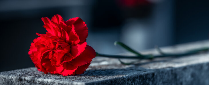 A single red carnation lies on a weathered gravestone in a cemetery, symbolizing remembrance, mourning, loss, and respect for the deceased.